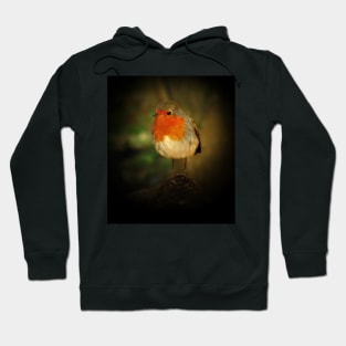 Robin Hoodie